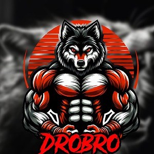 drobro16 - Twitch