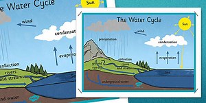 The Water Cycle Large Display Poster