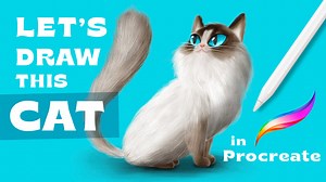 How to Draw a Cat in Procreate