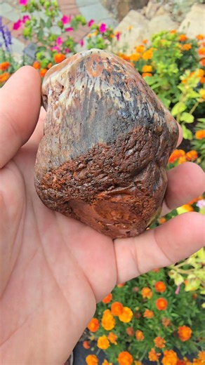 15K views · 398 reactions | Phenomenal Example Of A Lake Superior Agate With Bold Sagenite Sprays! #theagatedude #agate #agates #lakesuperioragates #geology #minnesotagemstone | The Agate Dude | Facebook