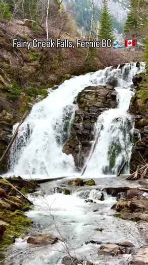 Fairy Creek Falls — Fernie British Columbia | Hidden Gem in the Canadian Rockies
