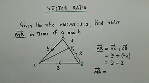 Vector ratio | Jacob Sichamba Online Math