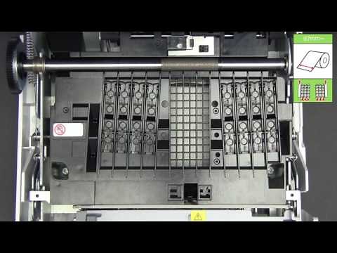 Epson ColorWorks C3500 | How to Load and Adjust Label Rolls