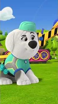 Tools up pups! Help build colorful kites with Pupstruction! 🪁🐾 DisneyJr