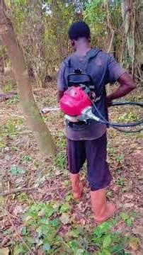Mini Chainsaw Brush Cutter Attachment | Cut Trees & Prune Faster