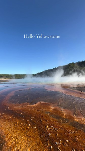 yellowstone recap