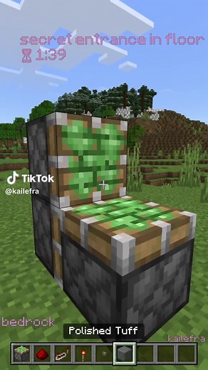 Discover Secret Entrances in Minecraft Java and Bedrock