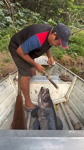 52K views · 360 reactions | Learning to live and thrive in the jungle...