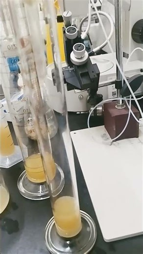 Filteration with filter paper #shorts