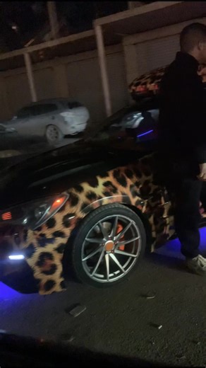 Tiger Everywhere in Benghazi, Libya