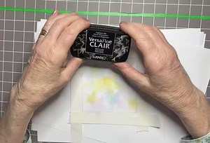 Hello Everyone Eileen from the Lavinia DT here, back to share another Video Tutorial with you. Today I’m featuring Tilly from the Tilly and Tango Stamp Set .. how cute is she, on a background created with some Star images from one of the brand new stencils from Lavinia Stamps, that were released this week - Words Set 2. https://laviniastamps.com/product/all-9-new-lavinia-stencils/?v=79cba1185463 I found some subtle colours of Archival Inks in my stash plus the beautiful Words Stamp called Winter