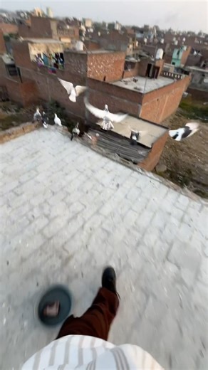 Parkour 💥#yrun #freerunning #viral #video #parkour #video