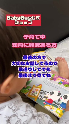 BabyBus公式ショップの知育おもちゃレビュー — 楽しく学べるセット紹介