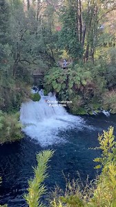 💧 Los Ojos del Caburgua Un tesoro natural de Pucón con pozos de agua de color azul eléctrico provenientes del Lago Caburgua. Se puede llegar en auto o bicicleta y disfrutar de su belleza única. 🌿 📍 Ubicación: Carguello Alto, Pucón, IX Región, Chile 📌 GPS: -39.240319, -71.834898 🎥@maiii.isabel | Destinos Araucanía
