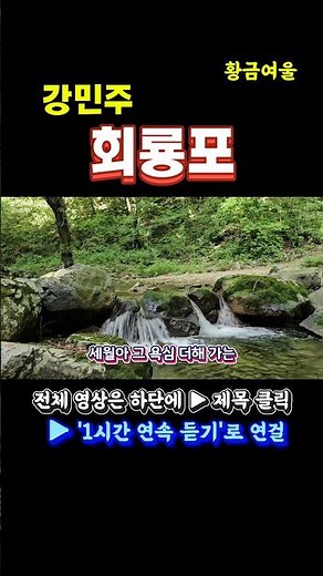 15년의 기다림 끝에 울려 퍼진 명곡 ‘회룡포’｜강민주 스페셜 #강민주#회룡포#트로트명곡#트로트연속듣기 #1시간연속듣기#감성트로트#무명가수성공기#위로의노래#트로트추천#힐링음악