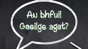 Do you want to learn Irish?