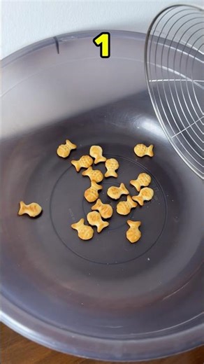 How Much Fish Can Pass?