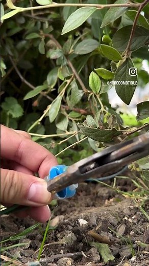 Réparation câble tondeuse #Husqvarna