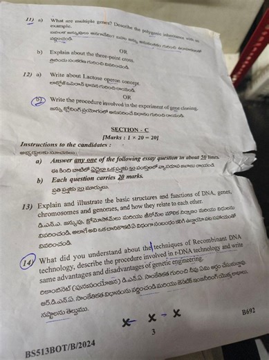 Explain and illustrate the basic structures and functions of DN... | Filo