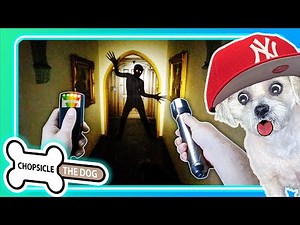 Hunting A Ghost! - Hilarious Buttered Side Down Reaction by Chopsicle The Dog