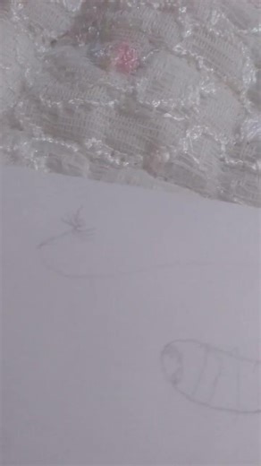 sea monster size i draw for long)