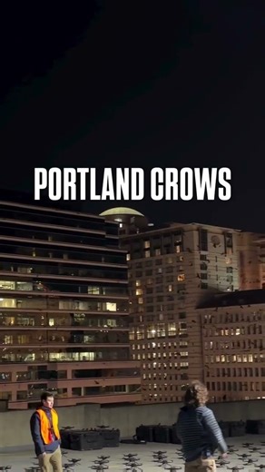 Portland Crows at Night