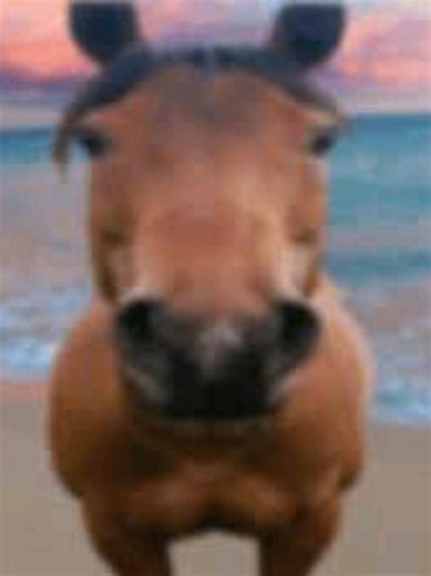 Easy Horse Riding Animation Lessons for Beginners