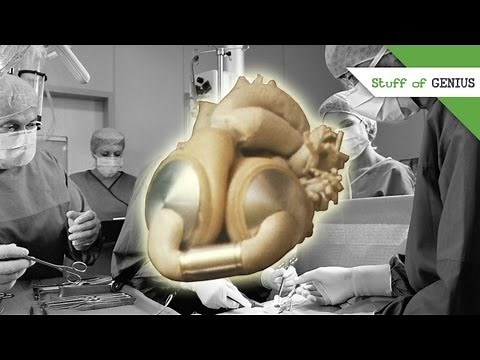 Robert Jarvik and the Artificial Heart