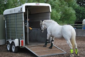 Loading 101 - How To Teach Your Horse To Load Happily