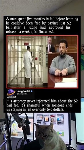 Five Months Over Two Dollars | funny memes | relatable American memes | dank memes