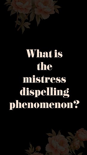 Yes, MISTRESS DISPELLER is a documentary. It's not made up! It's a real thing! Director Elizabeth Lo breaks down the phenomenon of 'mistress dispelling'. See MISTRESS DISPELLER in theaters now. | Oscilloscope Laboratories