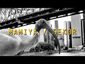 Adapting a £3 Mamiya Lens to the Lumix S5 | Australian Road Trip Photography