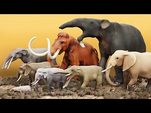 Elephants size comparison with Lego minifigures