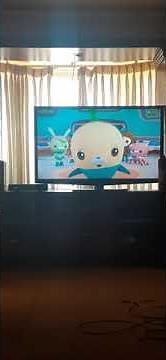 octonauts creature report humphead parrotfish