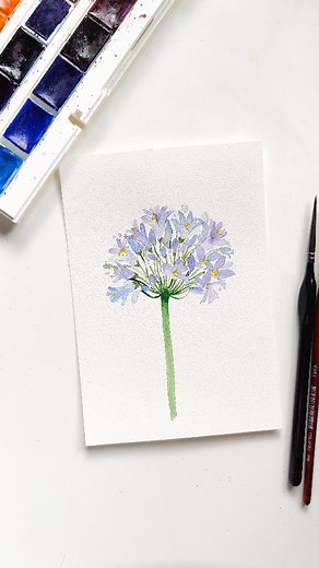 Agapanthus Tutorial - Part 2 of the Second Flower Colour Guide Series on YouTube. Watch the tutorial on YouTube 🌸😉 Featuring detail by the glass pen I got from @stationerypal Painted on @baohongpapers.id using @nevskayapalitra_world watercolour paints and @princetonbrush brushes. - - #claricegomesdesigns #claricegomeswatercolour #watercolourflowers #fleurs #aquarellefleurs #youtubetutorials #learnwatercolourpainting #looseflorals #agapanthus #watercolorlooseart #arttherapy #whitenights #youtub