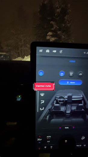 Exploring the Ford Mustang and Mach-E Features