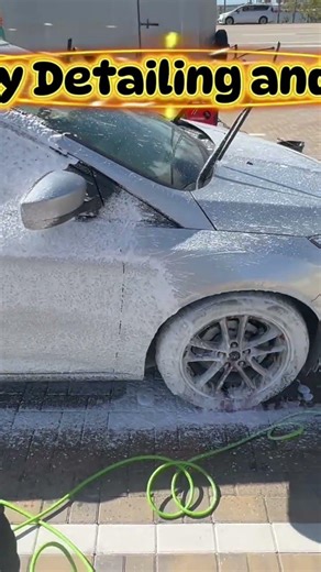 Detail @CapeCoralChamber with @diydetailofficial in @TheOrtizTeslaExperience #detailing #motivation