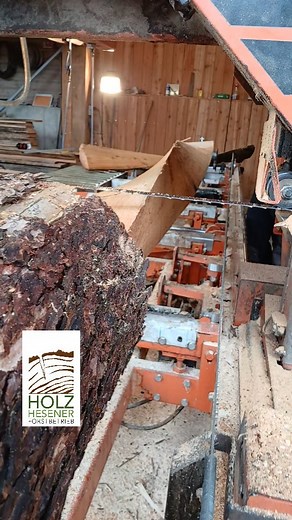 Holz Hesener on Instagram: "Dreieckiger Balken der im Stamm endet. www.holz-hesener.de ##milling #forest #woodmizer #wood #logosol #frontier #logging #forestry #frontier #logging #forestry #mill #sawmilling #kunst #kunsthandwerk #kunstgalerie #neverseenbefore"