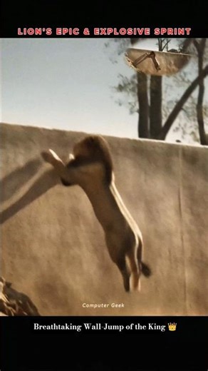 LION’S EPIC & EXPLOSIVE SPRINT: Breathtaking Jump of Savannah's King #animals #nature #wildlife