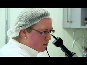 Astaxanthin Production