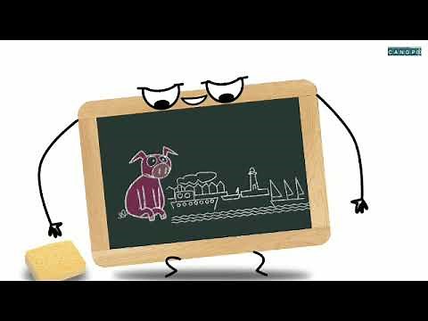 Les homonymes Les animations des Fondamentaux Réseau Can