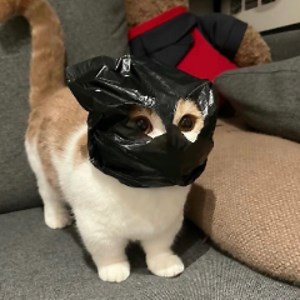 kikillo_o - Twitch