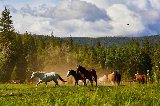 You Can Get a Full ‘Yellowstone’ Experience at This California Dude Ranch With Horses, a Saloon, and Western Cuisine