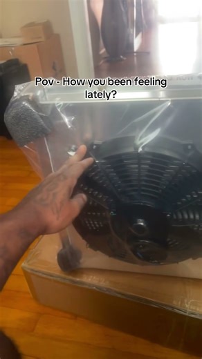 1981 Monte Carlo 🔊Follow for more updates & other content! #follow #diy #fypシ