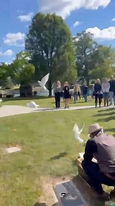3 years ago, when I realized the Ossuary I had chosen for the final resting place for the 173 unclaimed adults from the Marion County Coroner’s Office, was named “DOVES IN FLIGHT” by artist Arlon Bayliss, I knew what I had to do! Thank you Kendell from Doves Express. #doves #Remember #anniversary #honor | He Knows Your Name