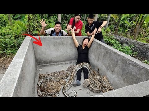 Horrifying video! Brave expert rescues ethnic girl from 100 pythons.