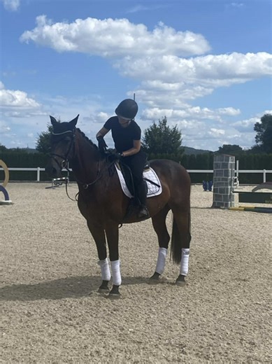 Paulina Daniel 31 m ago Der Reitsport ist leider nicht immer schön und erfolgreich. Es gibt viele Höhen und Tiefen aber ich bin bereit, weiterhin zu kämpfen. Falls ihr uns auf unserer Reise begleiten wollt und wissen wollt, ob die Hypnose was gebracht hat, dann folgt mir gerne🪄✨🐎 #fyp #fürdich #viral #equestrian #equestrianlife