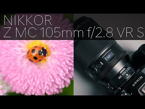 [実写あり]驚くほどよく写るマイクロレンズ！NIKKOR Z MC 105mm f/2.8 VR Sを実写レビュー！マクロ撮影から人物、風景、夜景様々撮影してみました！
