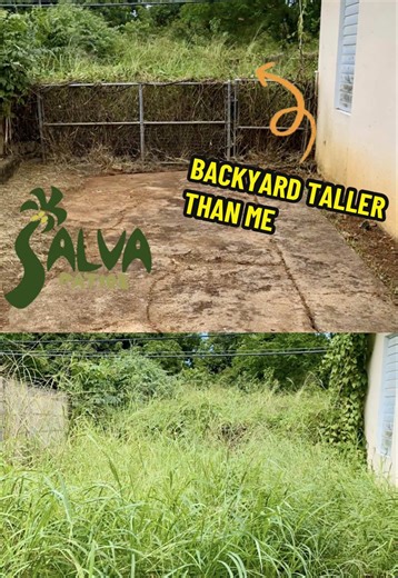 Incredible Backyard Transformation Revealed