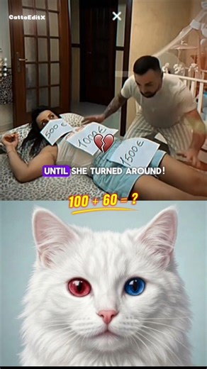 Wait for the 5000€ surprise! 😱#funny #memes #cat #shortsfeed